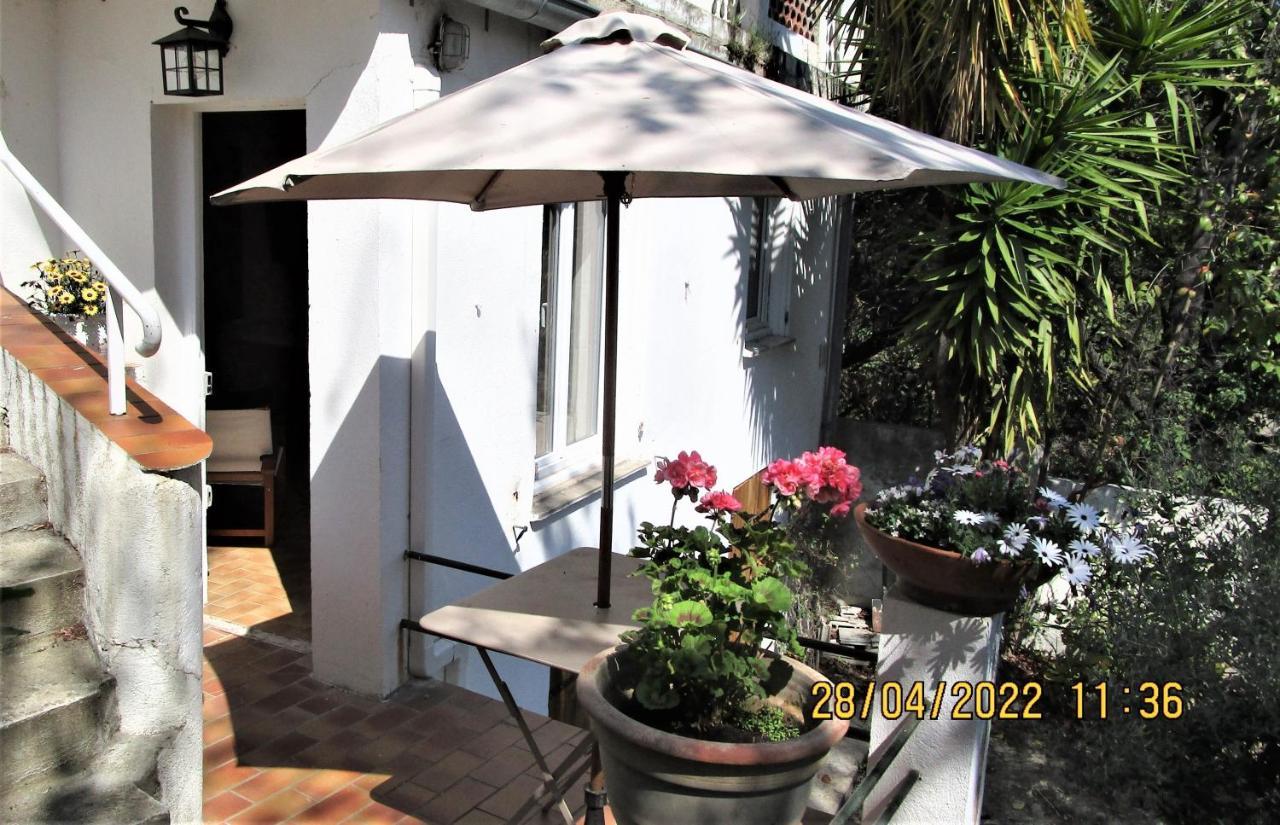 Nice - Studio Independant En Villa - Mer Ville Calme Jardinet Exterior foto